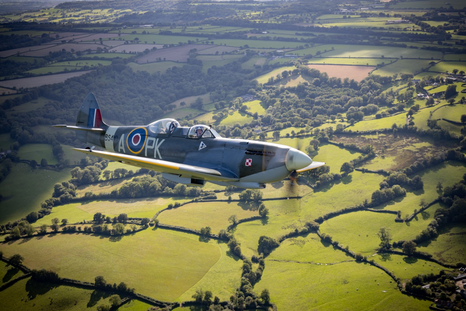 Spitfires.com