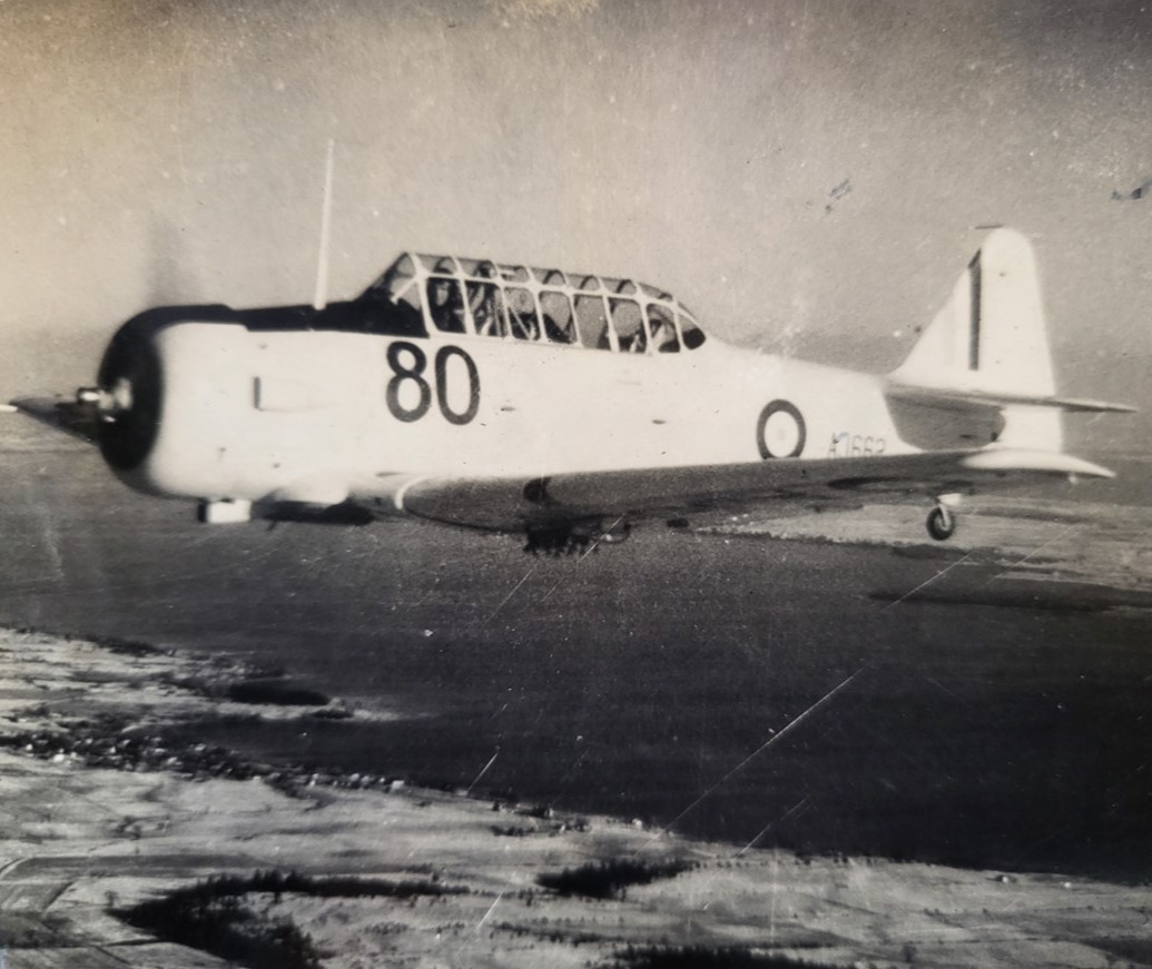 T6 Harvard in flight