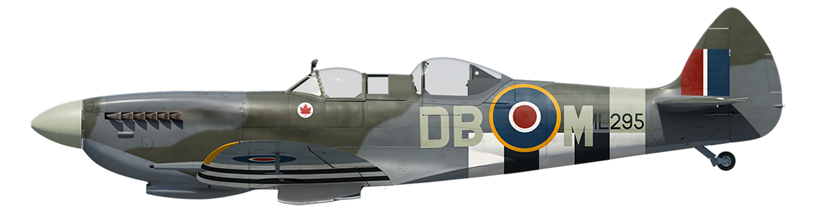 Book a Flight Experience in the Spitfire ML295 | Spitfires.com