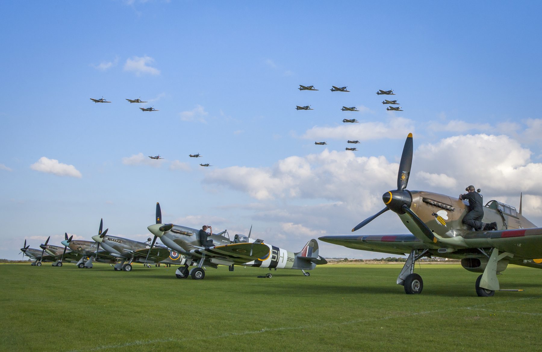 Private Spitfire Displays
