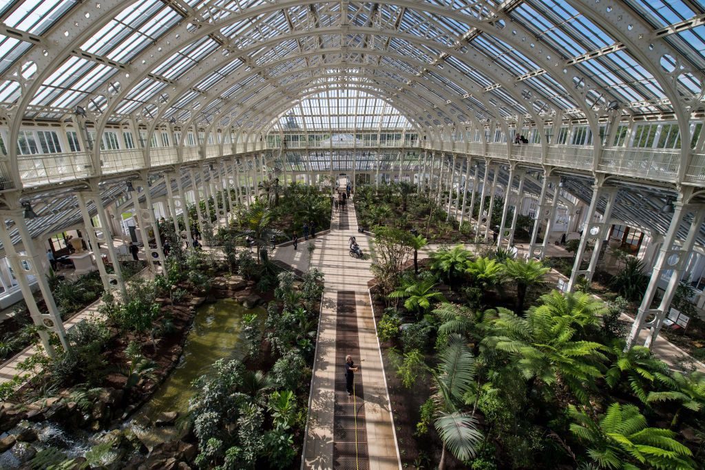 The Botanic Gardens